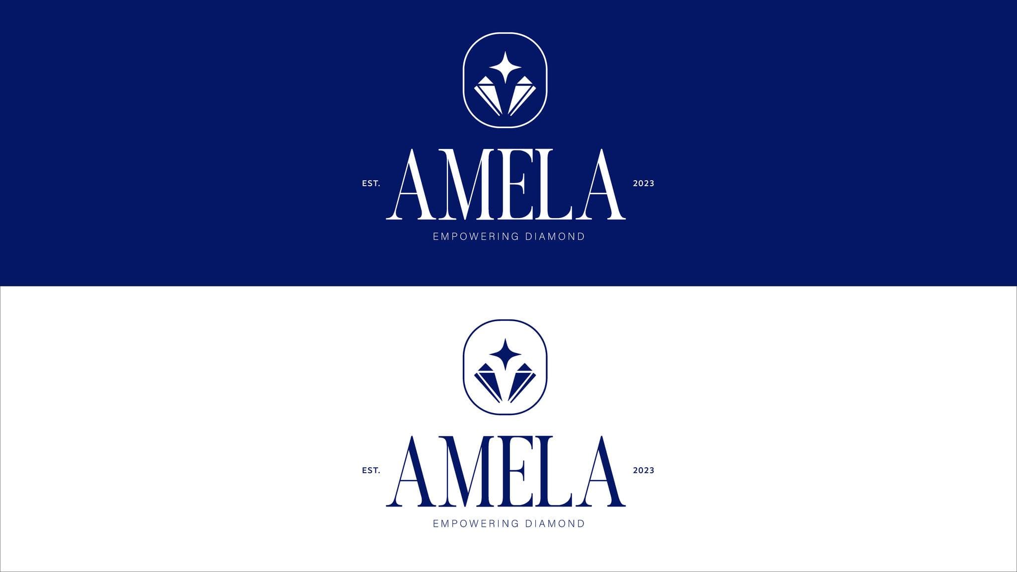AMELA preview