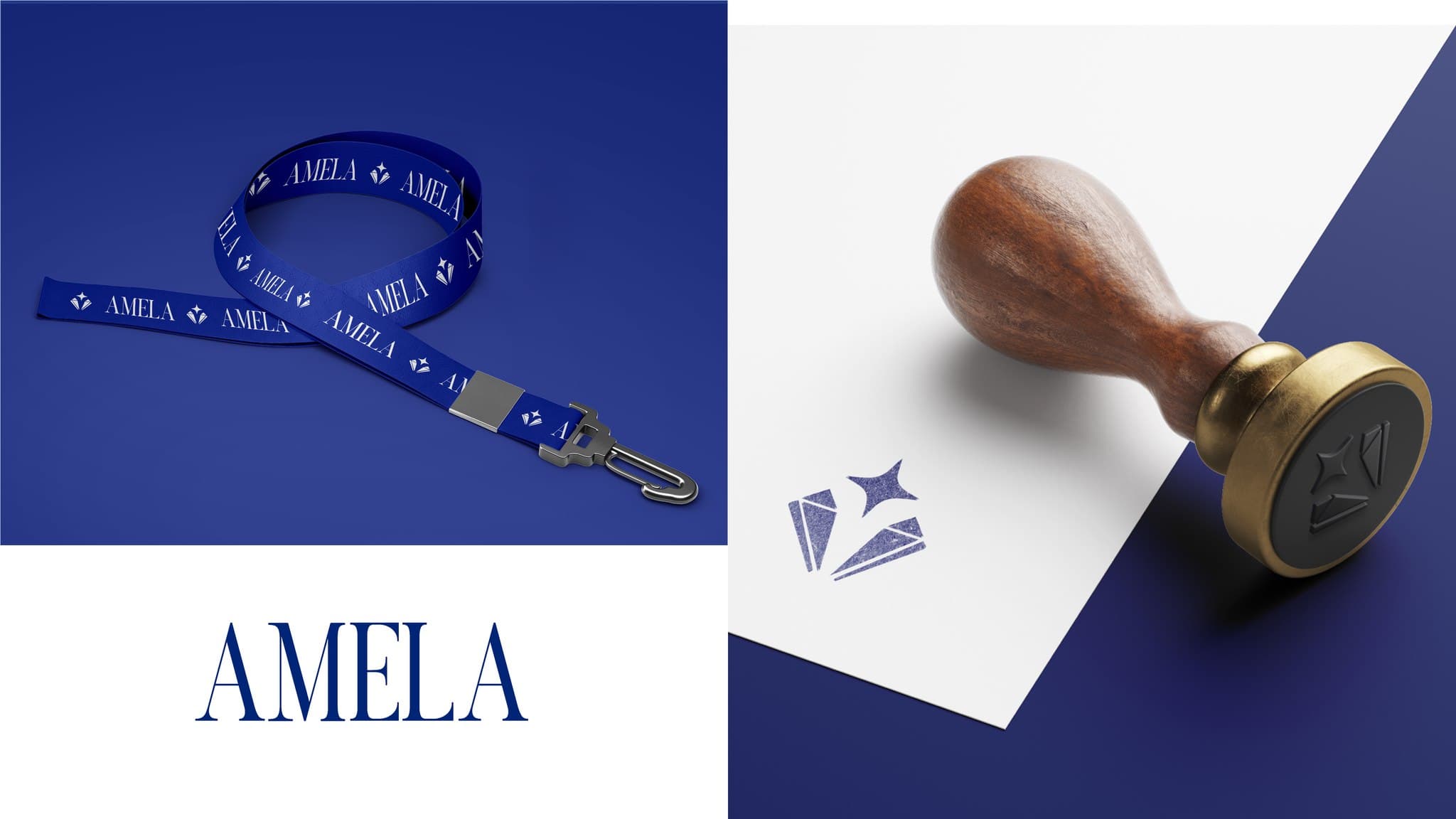 AMELA screenshot 6
