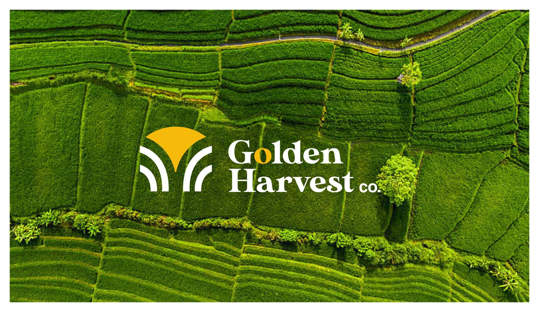 Golden Harvest Co. screenshot 5