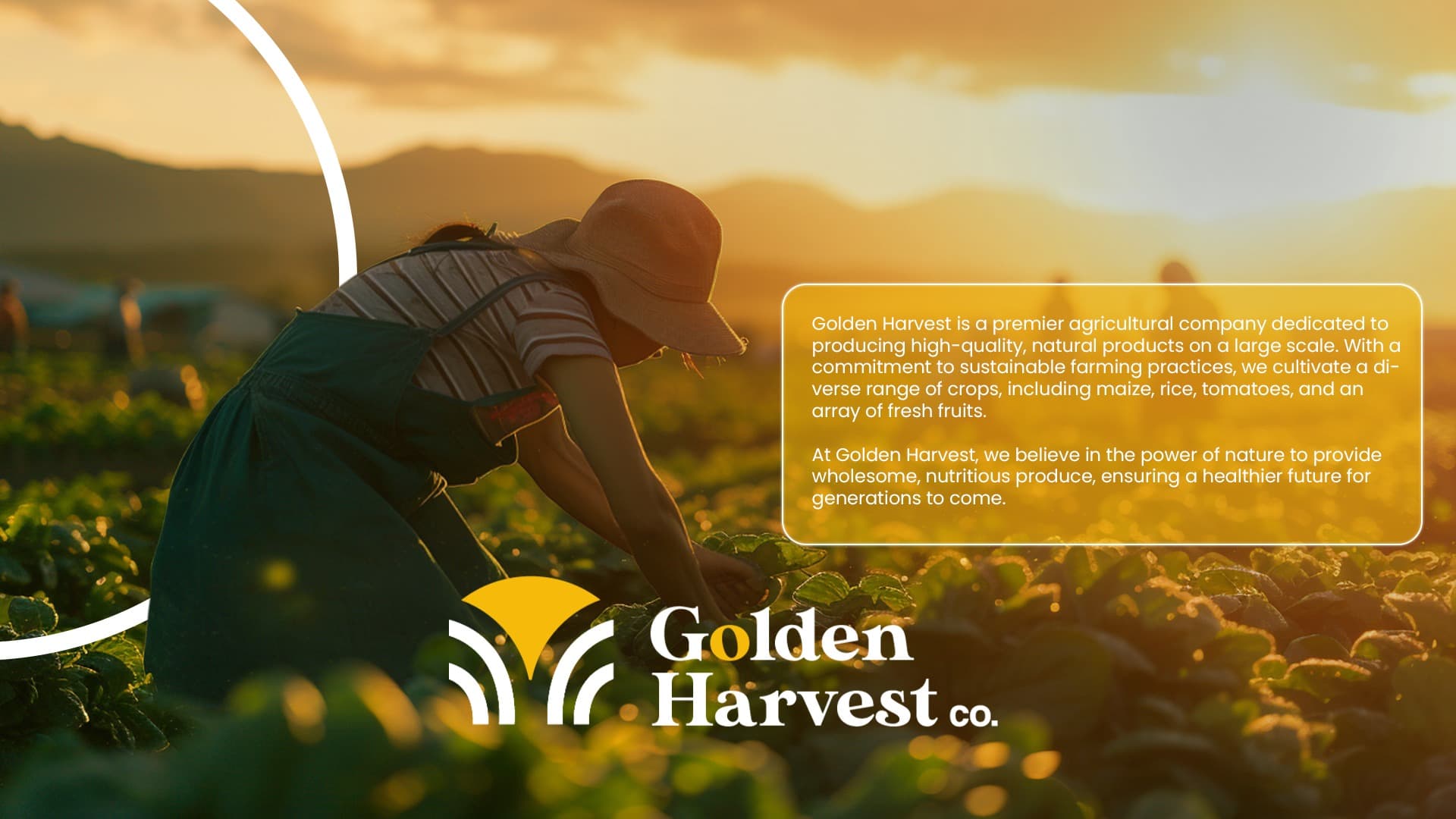 Golden Harvest Co. screenshot 6